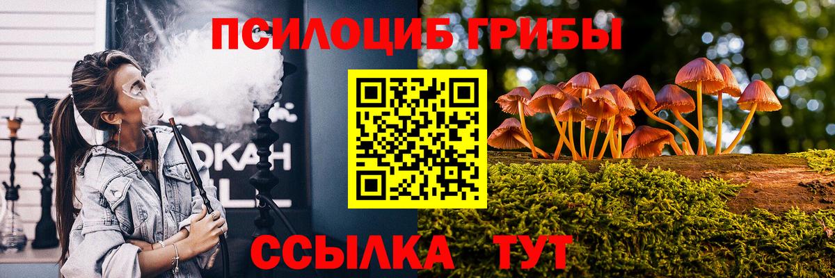 Галлюциногенные грибы Psilocybe Саянск